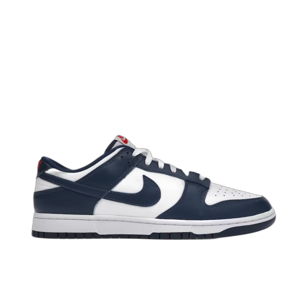 Nike Dunk Low Valerian Blue